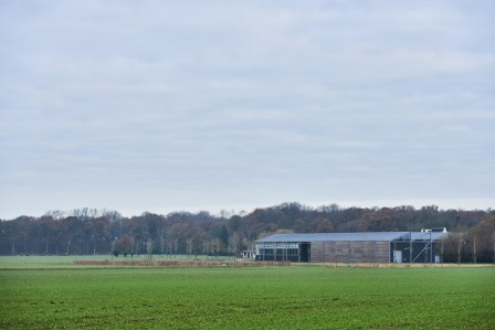 verzicht
