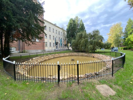 vijver