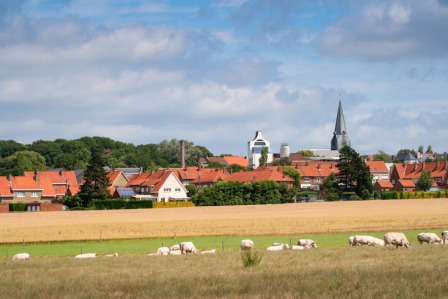 verzicht