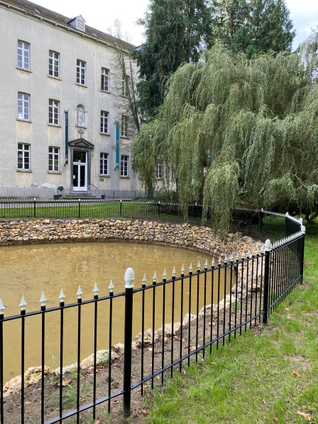 vijver