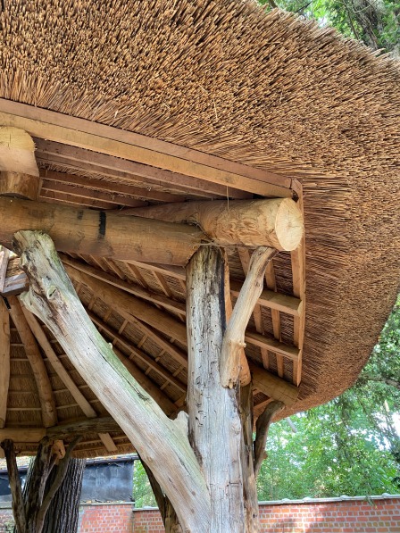 Detail